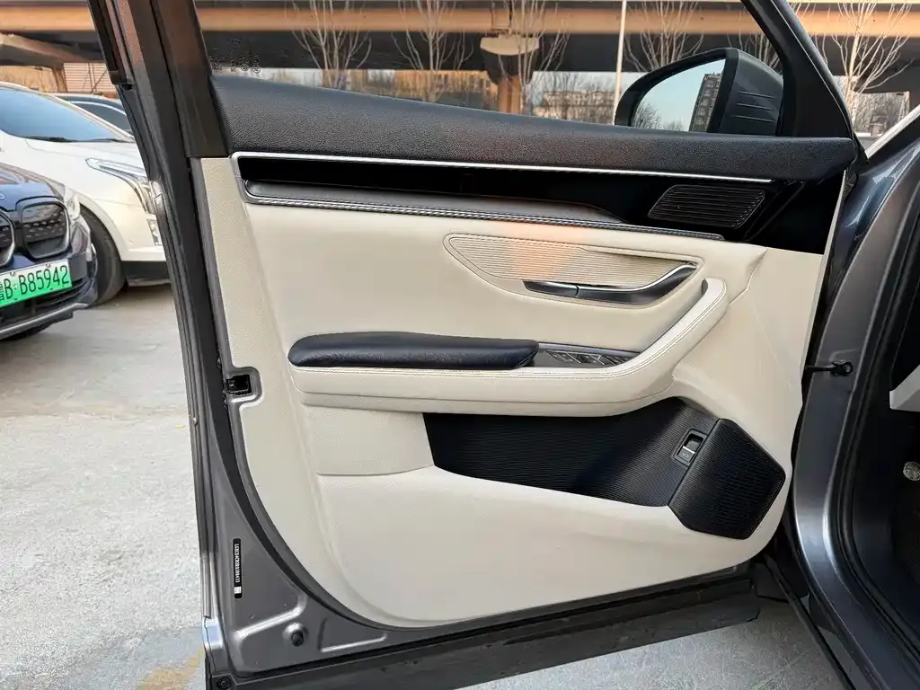 BYD PLUS New Energy 2024 из CN, фото 6