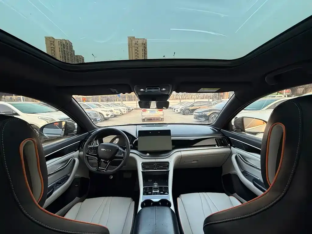BYD PLUS New Energy 2024 из CN, фото 3