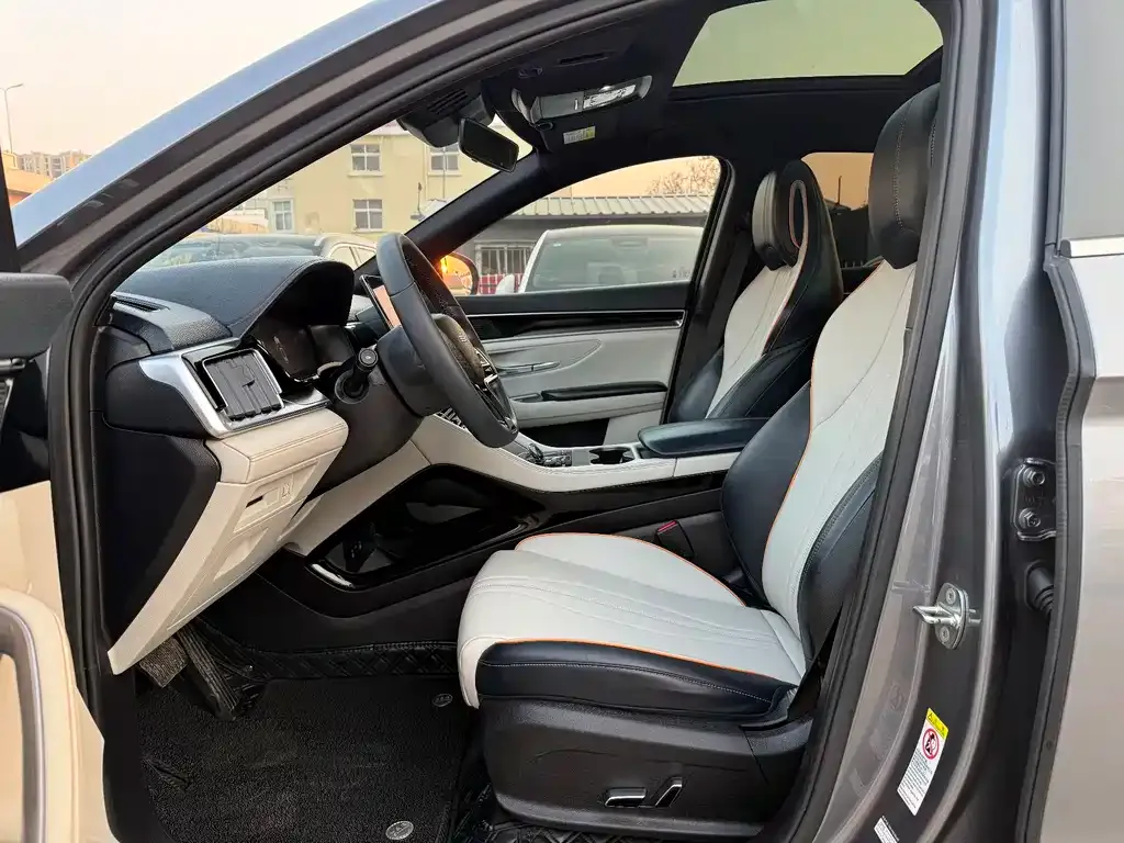BYD PLUS New Energy 2024 из CN, фото 8