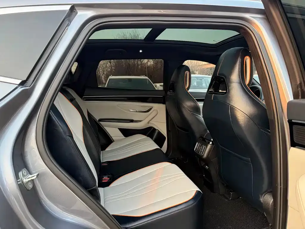 BYD PLUS New Energy 2024 из CN, фото 9