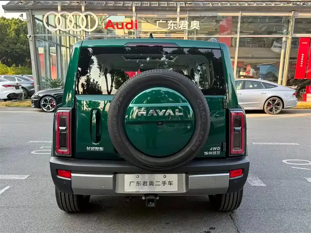 Haval Raptor 2025 из CN, фото 5
