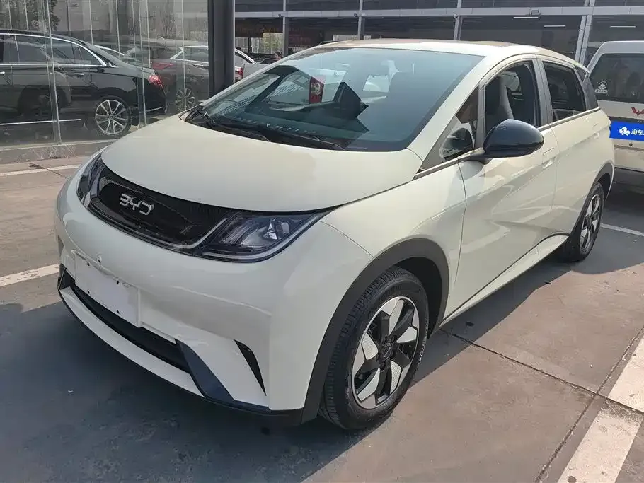 BYD Dolphin 2024 из CN, фото 1