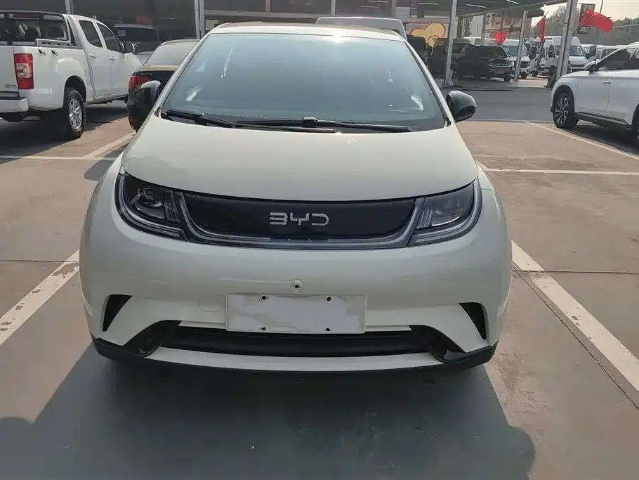 BYD Dolphin 2024 из CN, фото 2