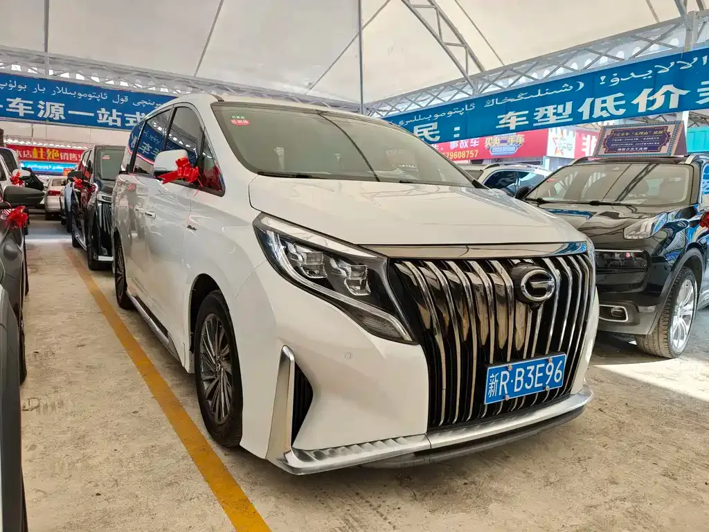 GAC Motor Trumpchi M8 2021 из CN, фото 10