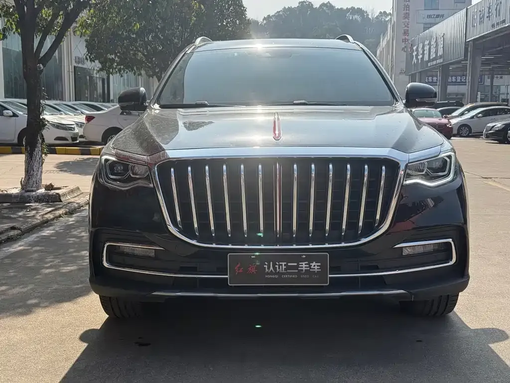 Hongqi HS7 2023 из CN, фото 3