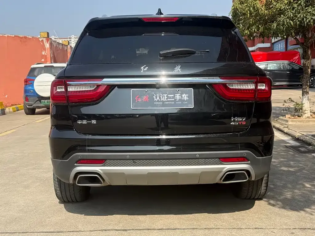 Hongqi HS7 2023 из CN, фото 10