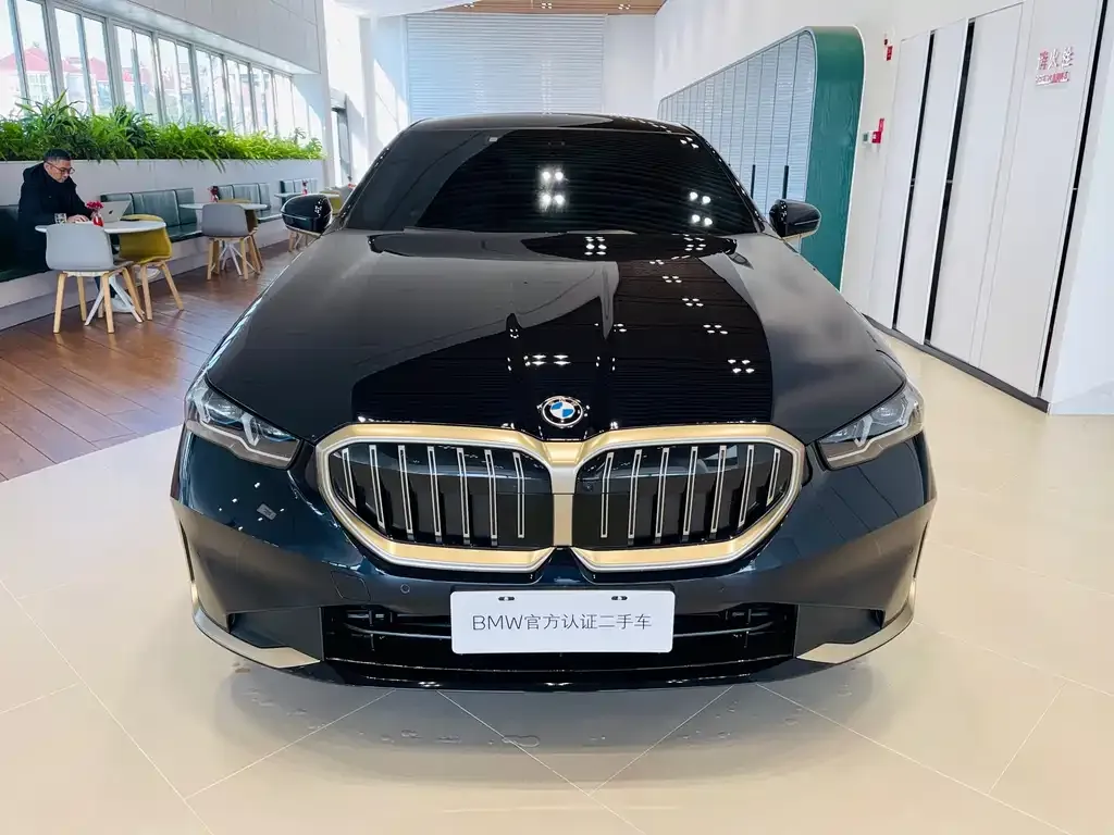 BMW 5 Series 2025 из CN, фото 7