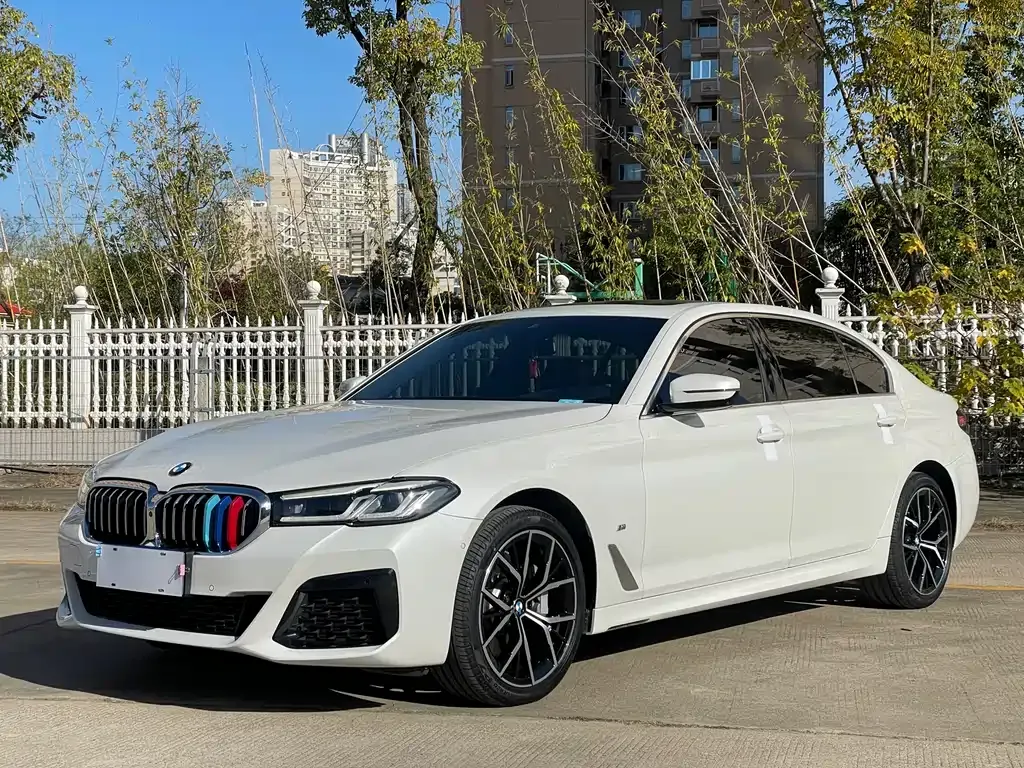 BMW 5 Series 2023 из CN, фото 1