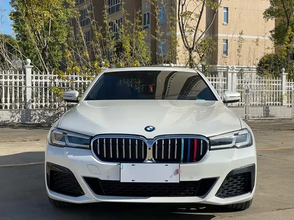 BMW 5 Series 2023 из CN, фото 3