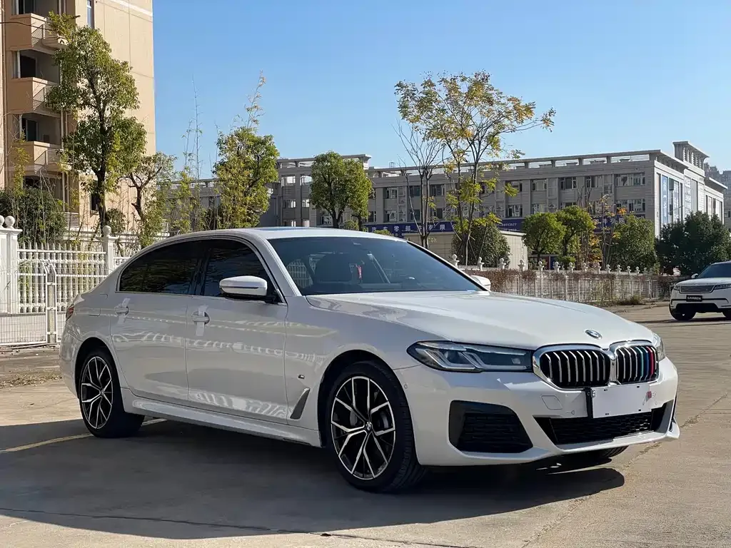 BMW 5 Series 2023 из CN, фото 4