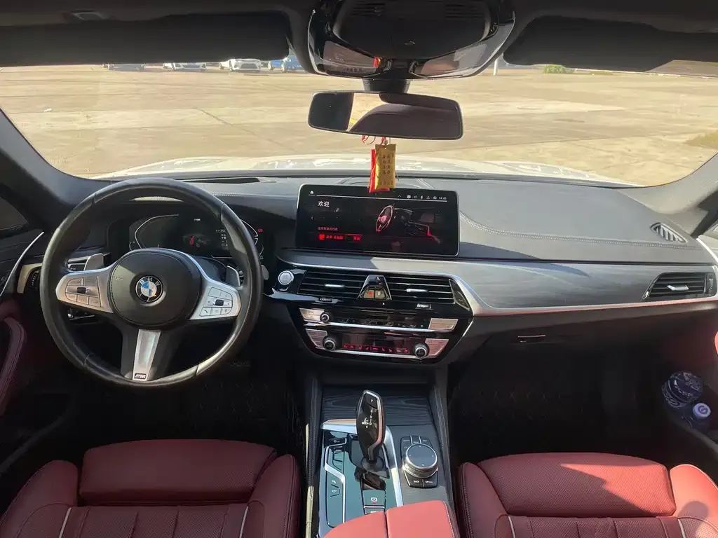 BMW 5 Series 2023 из CN, фото 10