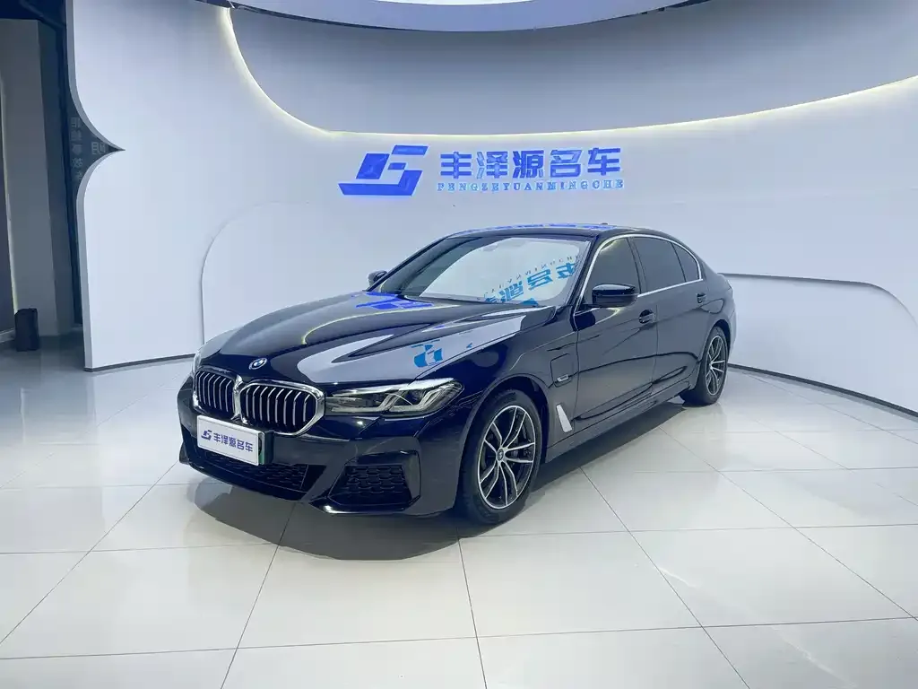 BMW 5 Series New Energy 2022 из CN, фото 1