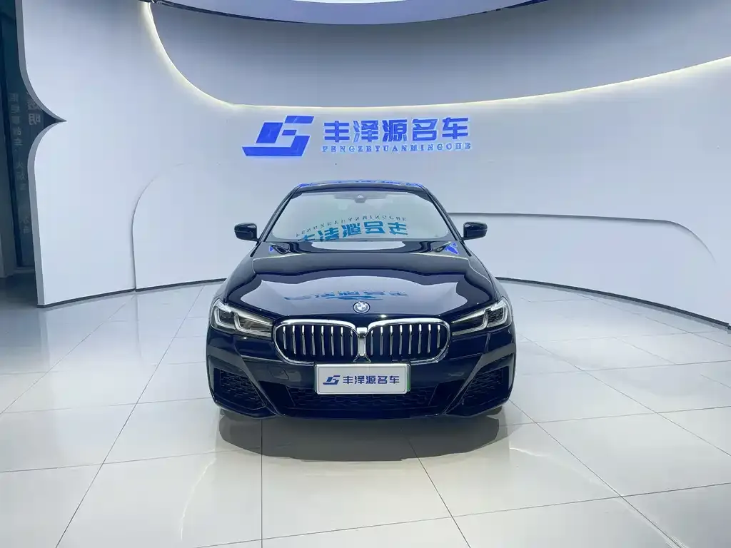 BMW 5 Series New Energy 2022 из CN, фото 2