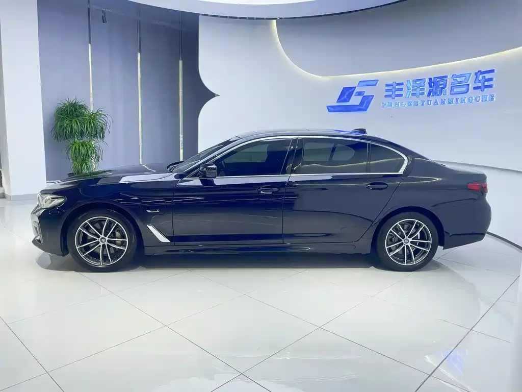 BMW 5 Series New Energy 2022 из CN, фото 9