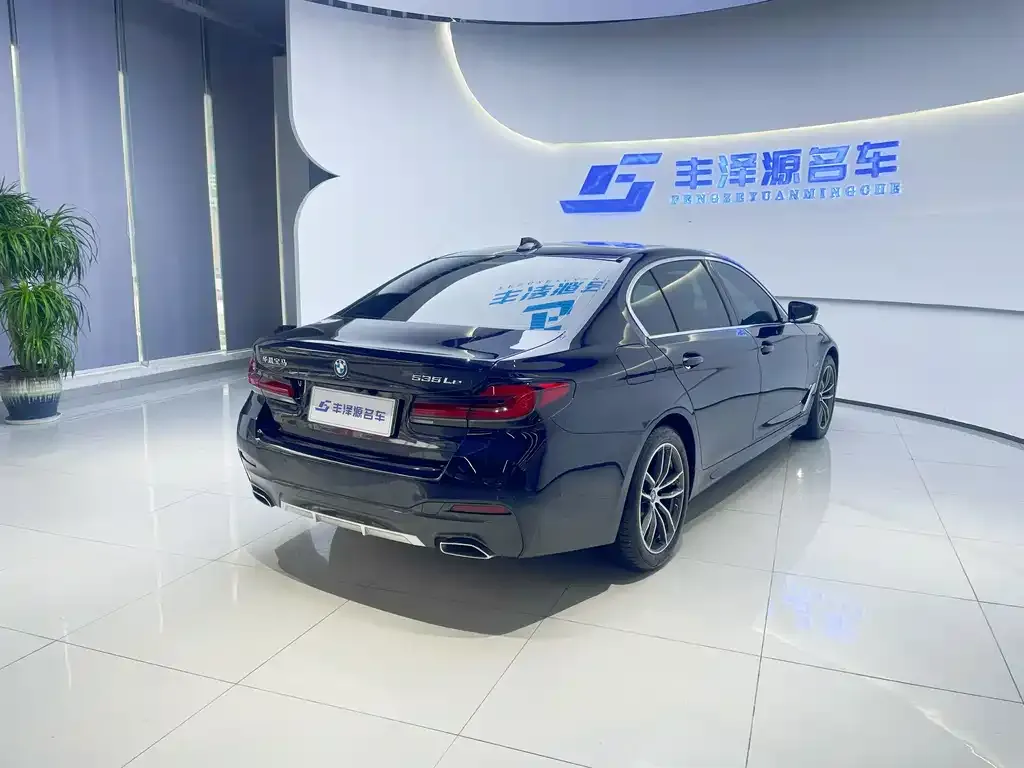 BMW 5 Series New Energy 2022 из CN, фото 8