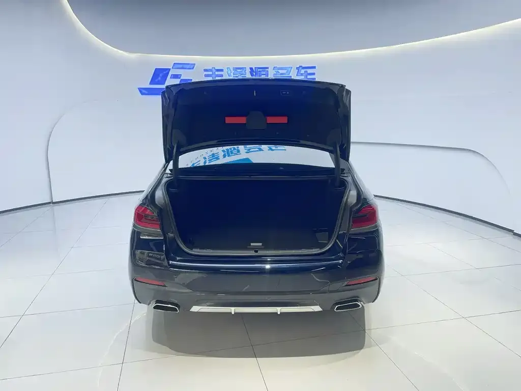 BMW 5 Series New Energy 2022 из CN, фото 3