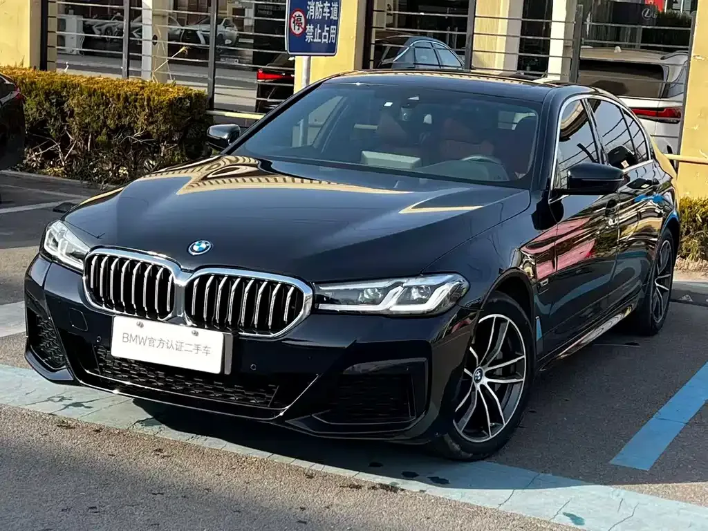 BMW 5 Series New Energy — фото 5