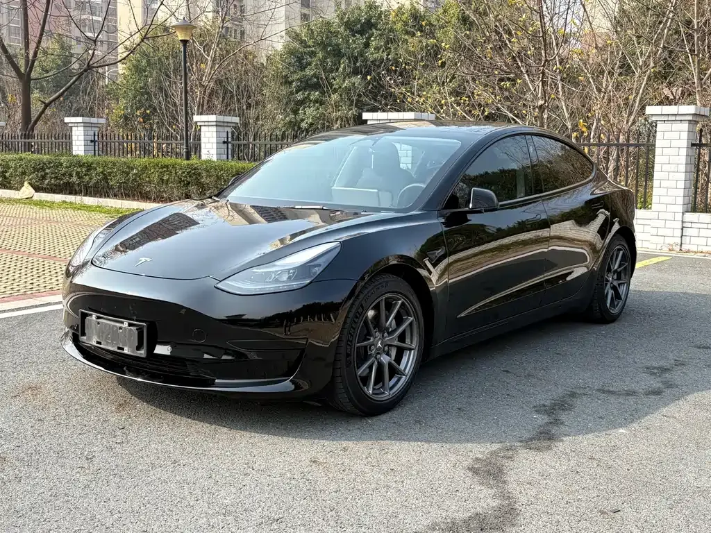 Tesla Model 3 2021 из CN, фото 1