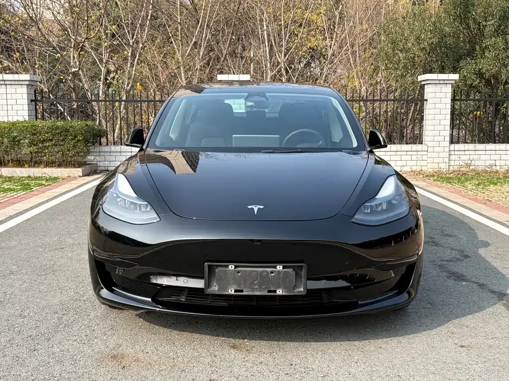 Tesla Model 3 2021 из CN, фото 10