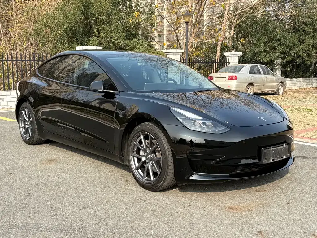 Tesla Model 3 2021 из CN, фото 6