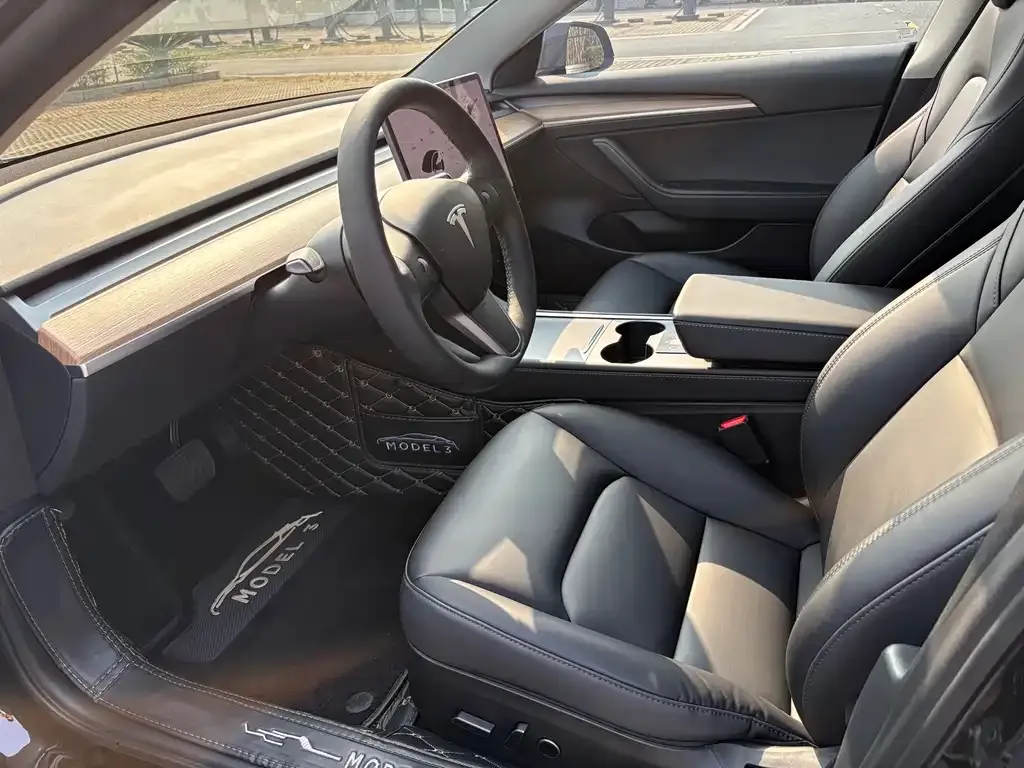 Tesla Model 3 2021 из CN, фото 4