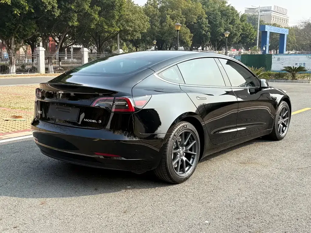 Tesla Model 3 2021 из CN, фото 5