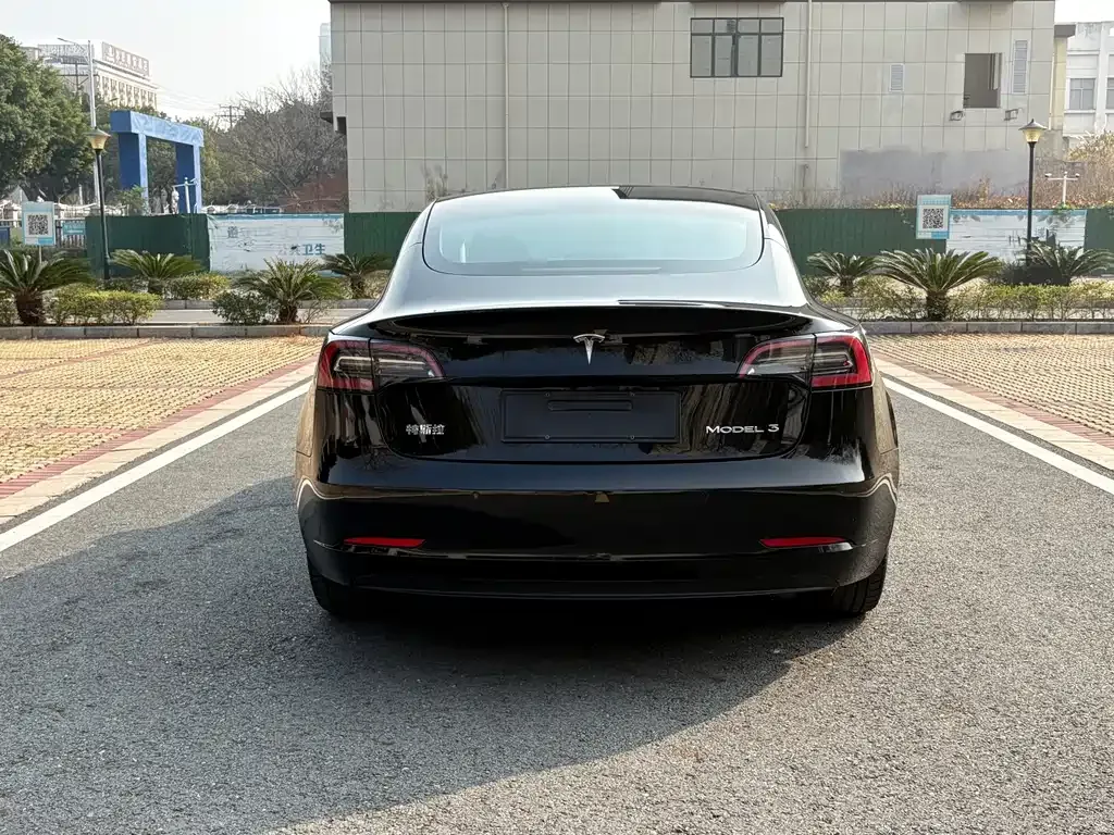 Tesla Model 3 2021 из CN, фото 8