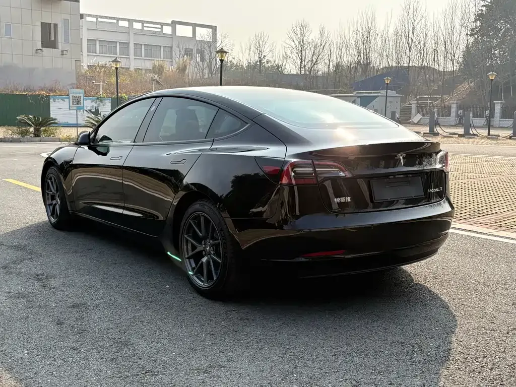 Tesla Model 3 2021 из CN, фото 9