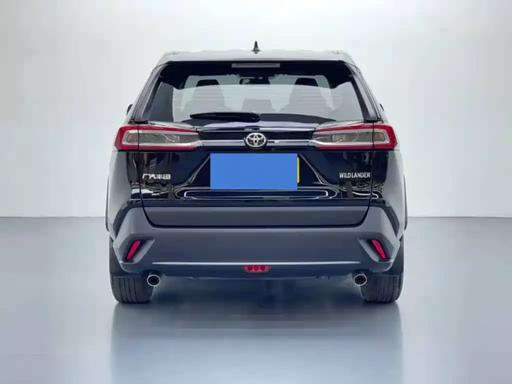 Toyota Wildlander 2024 из CN, фото 6