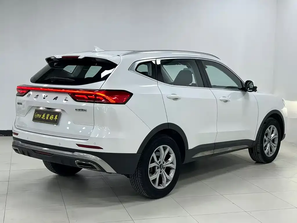 Haval H6 2022 из CN, фото 6