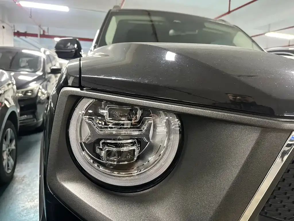 Haval H7 (Big Dog Plus) 2024 из CN, фото 6
