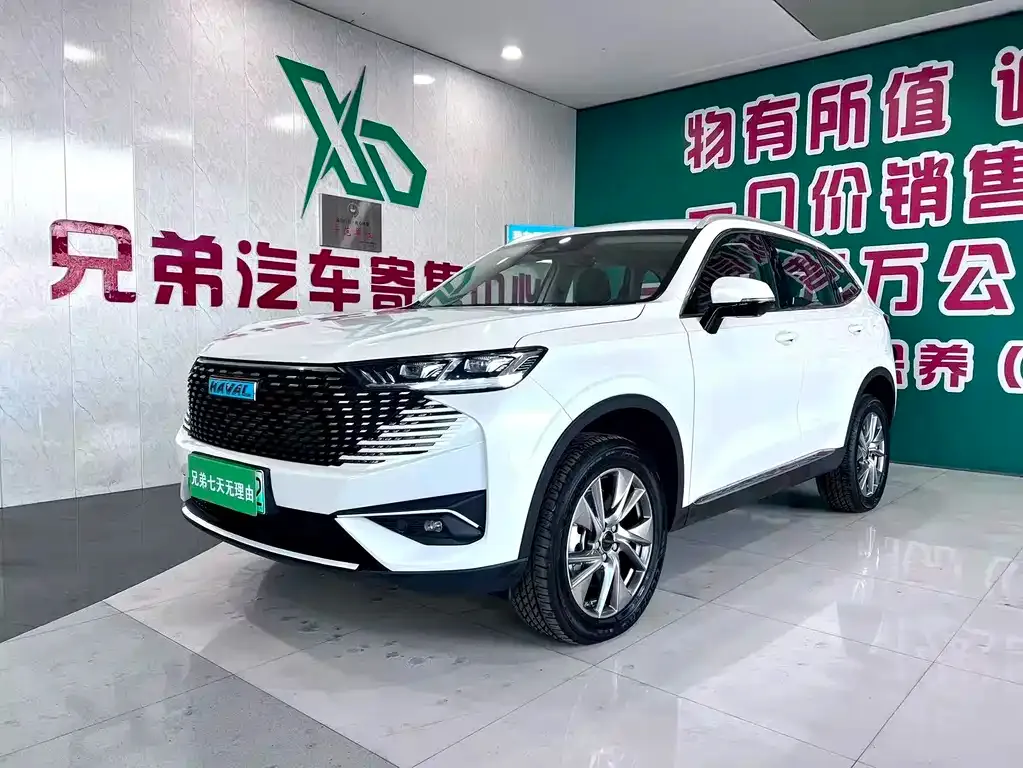Haval H6 New Energy 2024 из CN, фото 1