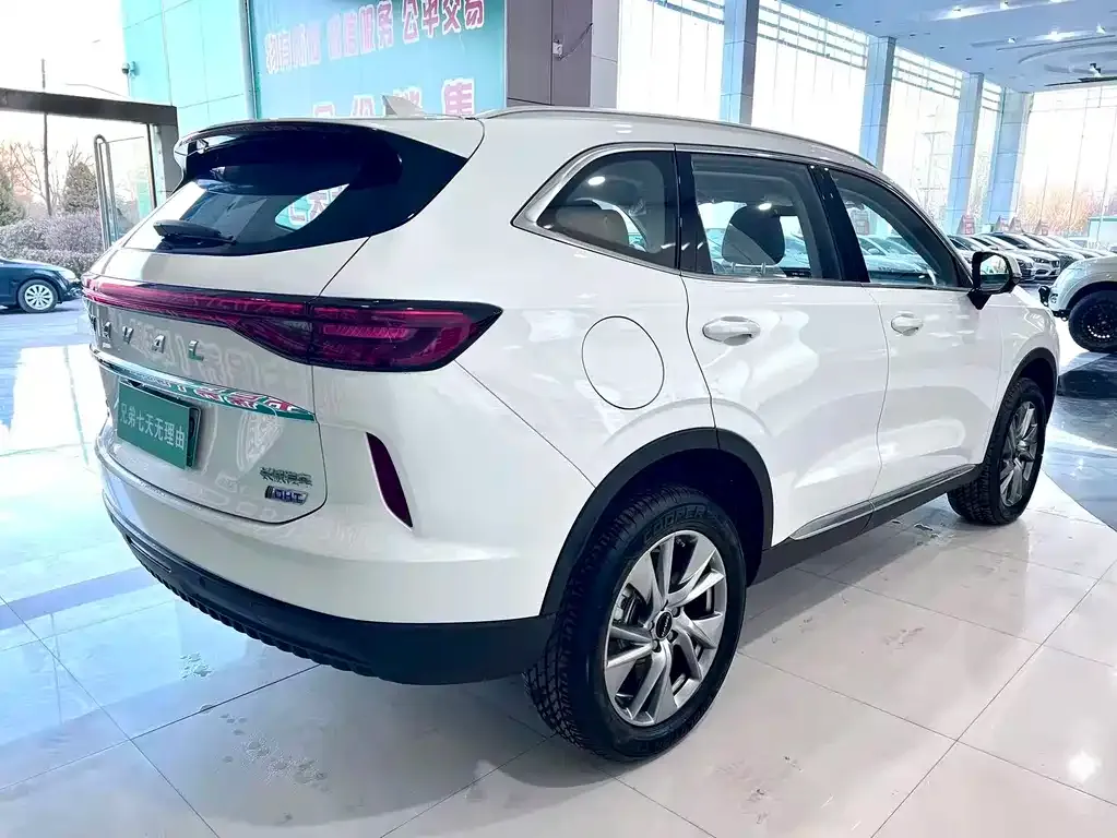 Haval H6 New Energy 2024 из CN, фото 7