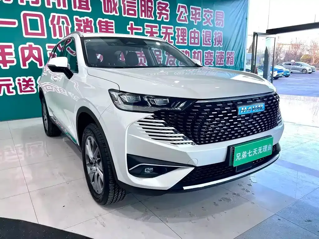 Haval H6 New Energy 2024 из CN, фото 8