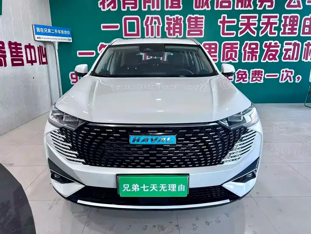 Haval H6 New Energy 2024 из CN, фото 9