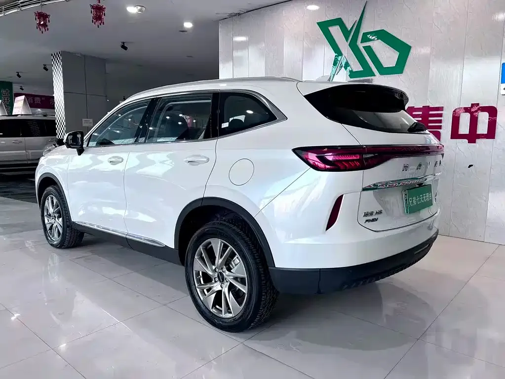 Haval H6 New Energy 2024 из CN, фото 5