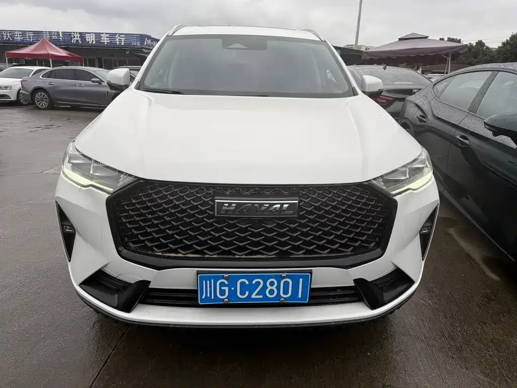 Haval H6 2023 из CN, фото 10