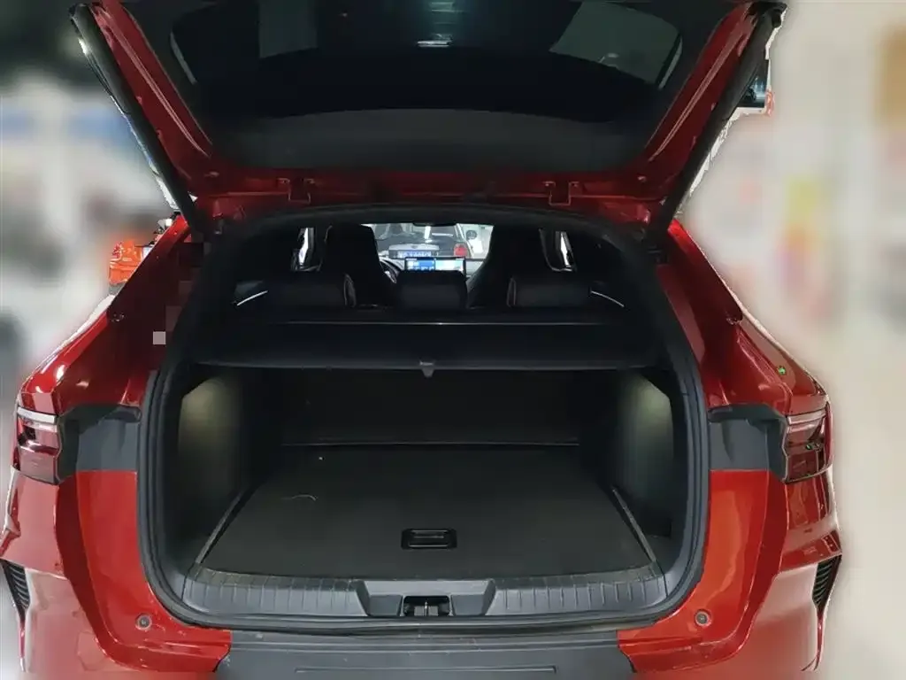 BYD PLUS New Energy 2023 из CN, фото 6