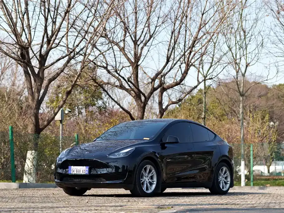 Tesla Model Y 2022 из CN, фото 1