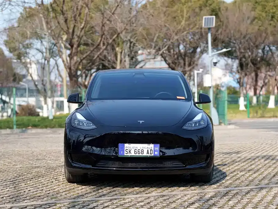 Tesla Model Y 2022 из CN, фото 7