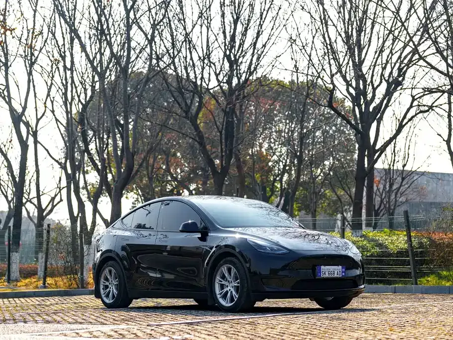 Tesla Model Y 2022 из CN, фото 6