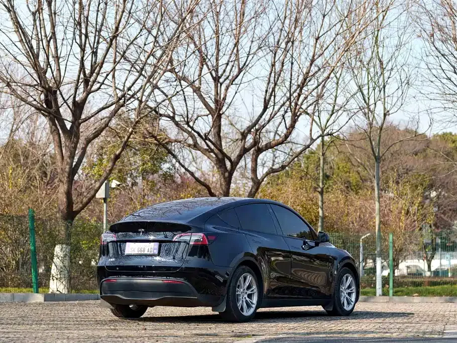 Tesla Model Y 2022 из CN, фото 10