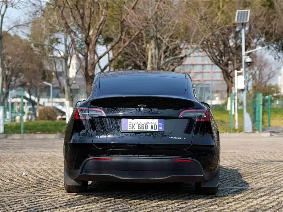 Tesla Model Y 2022 из CN, фото 8