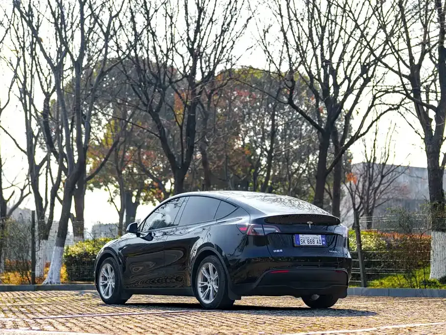 Tesla Model Y 2022 из CN, фото 3