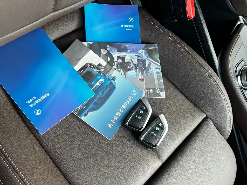 BMW X1 2023 из CN, фото 9