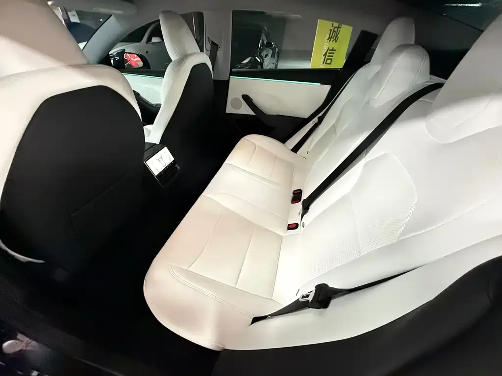 Tesla Model 3 2025 из CN, фото 4