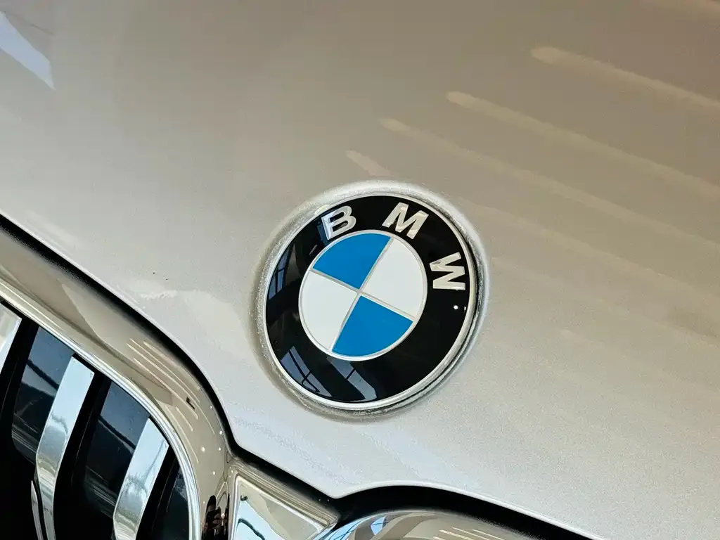 BMW 7 Series 2021 из CN, фото 3