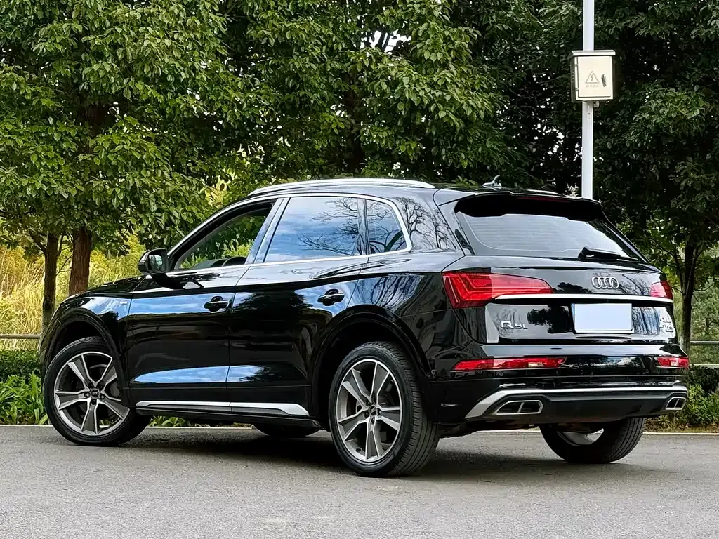 Audi Q5L 2022 из CN, фото 4