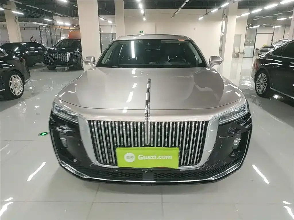 Hongqi H9 2021 из CN, фото 2