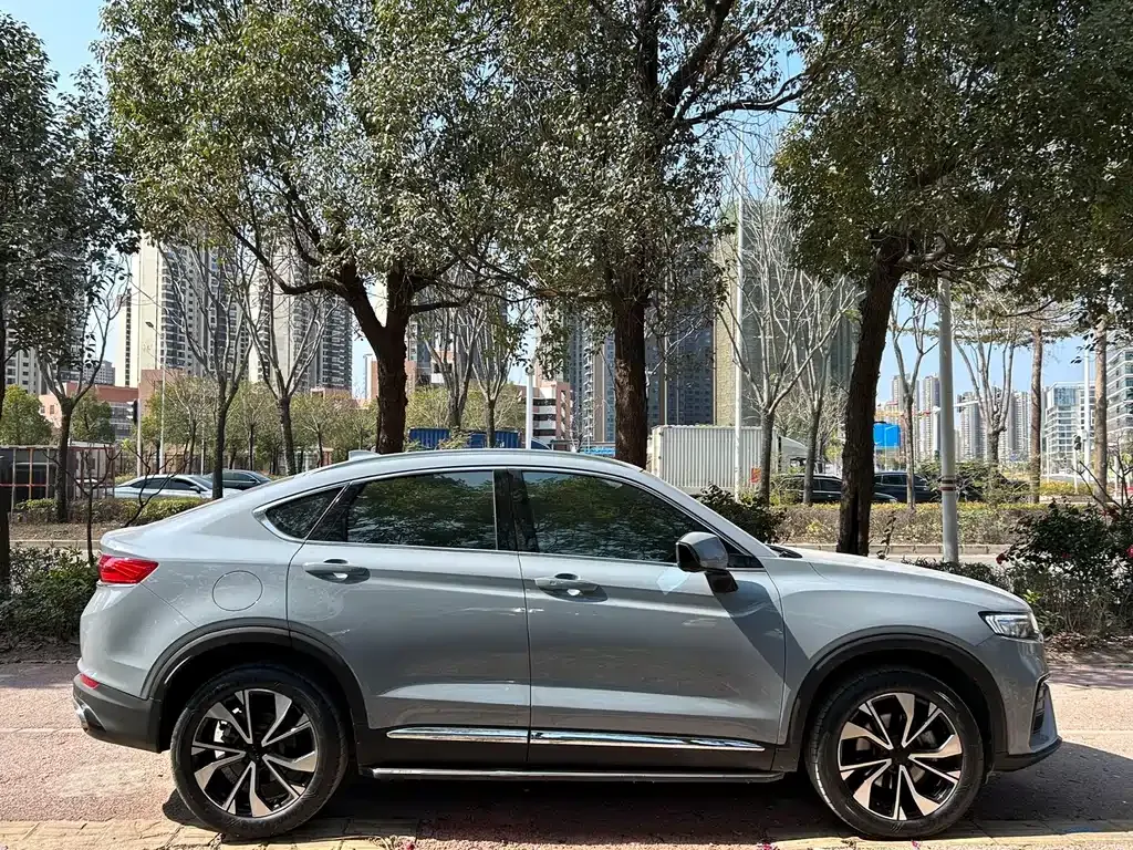 Geely Xingyue S 2022 из CN, фото 7